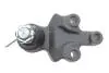 Опора кульова (передня/знизу) Kia Sorento I 02-11 FEBI BILSTEIN 41689 (фото 4)