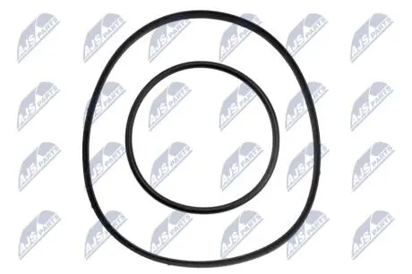 РЕМКОМПЛЕКТ ВАКУУМНОГО НАСОСА NTY PVP-BM-000