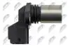 CRANKSHAFT POSITION SENSOR NTY ECP-VV-002 (фото 3)