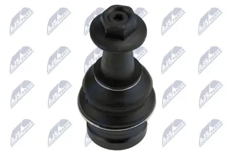 ARM BALL JOINT NTY ZSD-AU-000