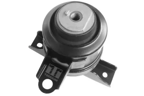 Опора двигателя (правая) TEDGUM 00393612