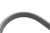 Комплект ременя генератора Citroen C3/C4/Peugeot 2008/208 1.4/1.6D 09- (6PK1020) INA 529 0323 10 (фото 3)
