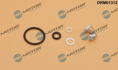 Ремкомплект форсунки DR MOTOR DRM01312