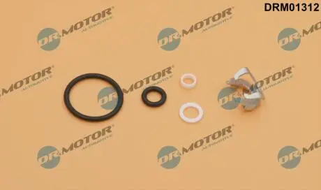 Ремкомплект форсунки DR MOTOR DRM01312