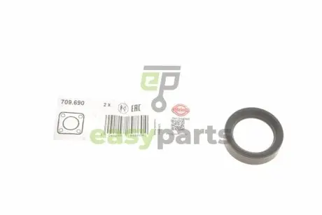 Кільце ущільнювальне свічкового колодязя Ford Focus/Galaxy/Mondeo 2.0 EcoBoost 11- ELRING 709.690
