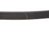 Ремінь генератора Renault Duster 1.6 SCe 19- Gates 7PK1038SF (фото 3)
