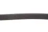 Ремінь генератора Audi A4/A6 2.4 97-05/Jeep Cherokee 2.5 86-90 Gates 6PK1855 (фото 3)