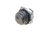 Подушка двигуна (L) BMW 3 (G20/G80/G28)/5 (G30/F90)/7 (G11/G12) 16- B57 D30 FEBI BILSTEIN 174767 (фото 6)