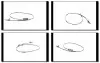 Датчик ABS зад. BMW 1 (F20), 1 (F21), 2 (F22, F87), 2 (F23), 3 (F30, F80), 3 (F31), 3 GRAN TURISMO (F34), 4 (F32, F82), 4 (F33, F83), 4 GRAN COUPE (F36) 1.5-3.0H 11.10- GH-Parts GH-711530 (фото 1)