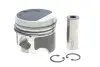 Поршень VW T4 1.9TD 92-03 (79.51mm/STD) = 7150030000 NPR 130 050 0003 00 (фото 1)