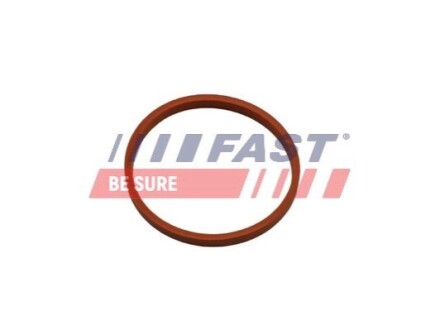 Прокладка патрубка інтеркулера ущільнююча Renault Megane III/Dacia Dokker 1.5dCi 08- FAST FT48932