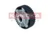 Шестерня розподiльчого валу RENAULT CLIO 98-16/LAGUNA 93-12/MEGANE 96-12 KAMOKA RV005 (фото 4)