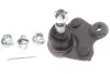 Опора кульова (передня/знизу/L) Honda CR-V 2.0/2.4/2.2D 06-12 SKF VKDS 813013 (фото 1)