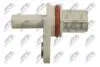 CAMSHAFT POSITION SENSOR NTY ECP-PL-032 (фото 3)