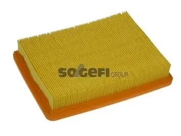 Фiльтр повiтряний Coopers FIAAM PA7396