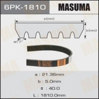 Ремінь поліклиновий MASUMA 6PK1810