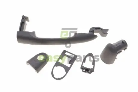 Ручка дверей (передніх/ззовні) Renault Kangoo 08- FEBI BILSTEIN 179115