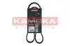 Ремiнь клиновий гнучкий 6PK1019 Ford B-Max 12- / C-Max II 10-19 / Focus III 10- /KA+ III 14- KAMOKA 7016034 (фото 1)