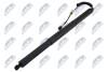 TAILGATE GAS SPRING NTY AE-VW-108 (фото 1)