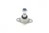Опора кульова (передня) BMW X3 (E83) 2.0i-3.0i 03-11 ASMETAL 10BM2810 (фото 14)