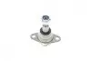 Опора кульова (передня) BMW X3 (E83) 2.0i-3.0i 03-11 ASMETAL 10BM2810 (фото 5)