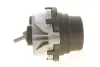 Подушка двигуна BMW 3 (F30/F80/F34/F31)/4 (F36/F33/F83)/X3 (F25) 3.0D N57 11- CORTECO 80001809 (фото 4)