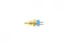Датчик температури охолоджуючої рідини MB OM602 93-03 (2 конт.) (синій) BOGAP C4126105 (фото 3)