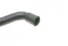 Фото 2 - патрубок радіатора BMW 5 (F10)/7 (F01-F04) 08- BOGAP B4228338 Патрубок радіатора BMW 5 (F10)/7 (F01-F04) 08- BOGAP B4228338 (фото 2)