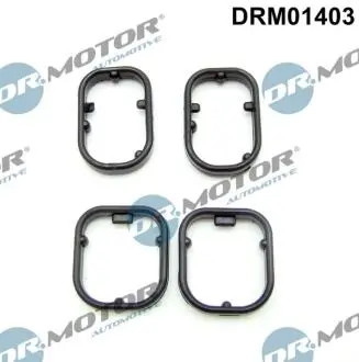 Прокладка корпуса теплообмінника масляного фільтра BMW 5 F10 DR MOTOR DRM01403