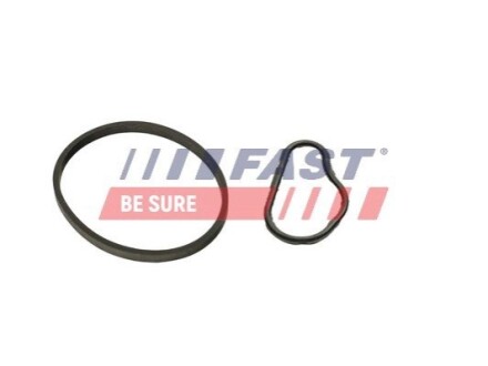 К-кт прокладок вакуум. насос (к-кт 2шт) CITROËN BERLINGO 1.6HDi 08- FORD TRANSIT CONNECT 1.5/1.6TDCi 13- PEUGEOT RIFTER 1.6HDi 18- FAST FT48943