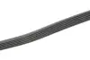Ремінь генератора MB Sprinter (W906/W907/W910) 2.2 CDI (OM651) 06- (6PK1124) Contitech 6PK1124ELAST (фото 3)