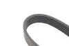 Ремінь генератора Land Rover Defender/Range Rover 3.0 Hybrid 19- Contitech 6PK1401EXTRA (фото 2)