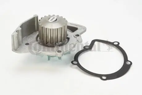 Помпа води Citroen C4-C8/Jumpy 2.0-2.2HDi/Fiat Scudo 2.0D/Ford Focus 2.0TDCI 01- (19z) Contitech WP6075