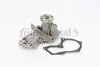 Помпа води Ford C-Max/Focus/Mondeo/Fiesta/Kuga/Connect 1.4/1.6/Volvo 1.6 07-/Mazda 2 1.3/1.4 03-07 Contitech WP6080 (фото 1)
