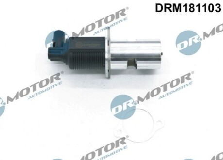 Клапан рециркуляцiї вiдпрацьованих газiв DR MOTOR DRM181103