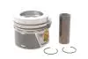 Поршень Audi A3/A4/A5/A6/Q5/Skoda Octavia II/VW Golf V/VI/Passat B6/B7 2.0 TDI 03- (81.25mm/+0.25) 028 PI 00100 001
