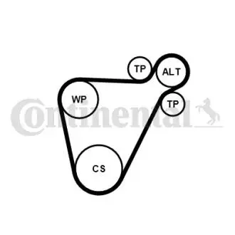 Фото комплект ГРМ Contitech 8PK954EXTRAK1 Комплект ГРМ Contitech 8PK954EXTRAK1