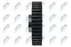 CAMSHAFT ADJUSTER NTY RKZ-FR-003 (фото 4)