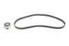 Комплект ГРМ Opel Astra F/Omega A/B/Vectra A/B 1.6/1.8/2.0i 88-03 (20x146z) BOSCH 1987948994 (фото 1)