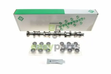 Комплект розподільчого валу VW T5 2.5TDI 03-10 96/128kw INA 428 0044 30