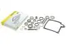 Ремкомплект КПП VW Passat (3C2,3C5) 1.9TDI/2.0TDI, 03/05-01/12, 02E, DSG-6 (DQ250) LuK 462 0146 10 (фото 1)