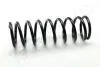 SUZUKI Пружина задняя VITARA 1.6-2.0 -99 JAPANPARTS ZC5499C (фото 1)