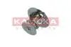 Термостат Ford Transit 2.5D/TD 86-99/Connect 1.8TDCi 02-13 KAMOKA 7710125 (фото 1)