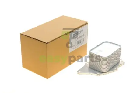 Радіатор масляний BMW 1 (F20/F21)/2 (F45) 1.5/2.0D 15- B37/B38/B46/B48 Van Wezel 06013700