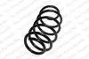 Пружина подвески передняя VW/SKODA Kilen 25067 (фото 1)