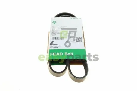 Ремінь генератора Ford Transit Custom 1.0 EcoBoost 20- INA FB 6PK988