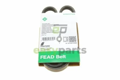 Ремінь генератора Ford Focus/Kuga 12- INA FB 4EPK890