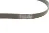 Ремінь генератора Citroen DS5/Peugeot 3008/508 I 2.0DH 10-18 Contitech 6PK1080 EXTRA (фото 2)