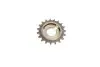 Комплект ланцюга ГРМ Nissan Pick UP(D22)/Navara(D22)/Terrano 2.4/2.4i 4WD, 97-05, (KA24DE) INA 559 1013 30 (фото 40)