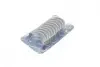Вкладиші корінні BMW 3 (F30/F80/F31) 1.6 i 12-16 N13/Citroen Berlingo 1.6VTi 09- (+0.50) KOLBENSCHMIDT 37206620 (фото 3)